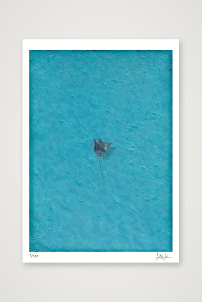 Azure — 59×84cm, 23×33" Print only