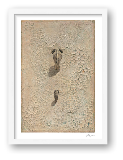 LIFE ON EARTH | Studio Edition — framed