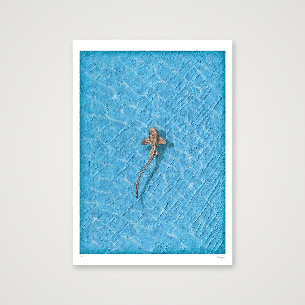 REEF - LIMITED FINE ART PRINT — A0 (84×119cm, 33×47") Print only
