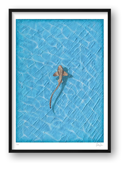REEF - LIMITED FINE ART PRINT — framed