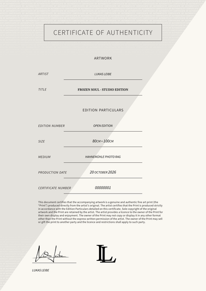 FROZEN SOUL - Studio Edition — Certificate of Authenticity