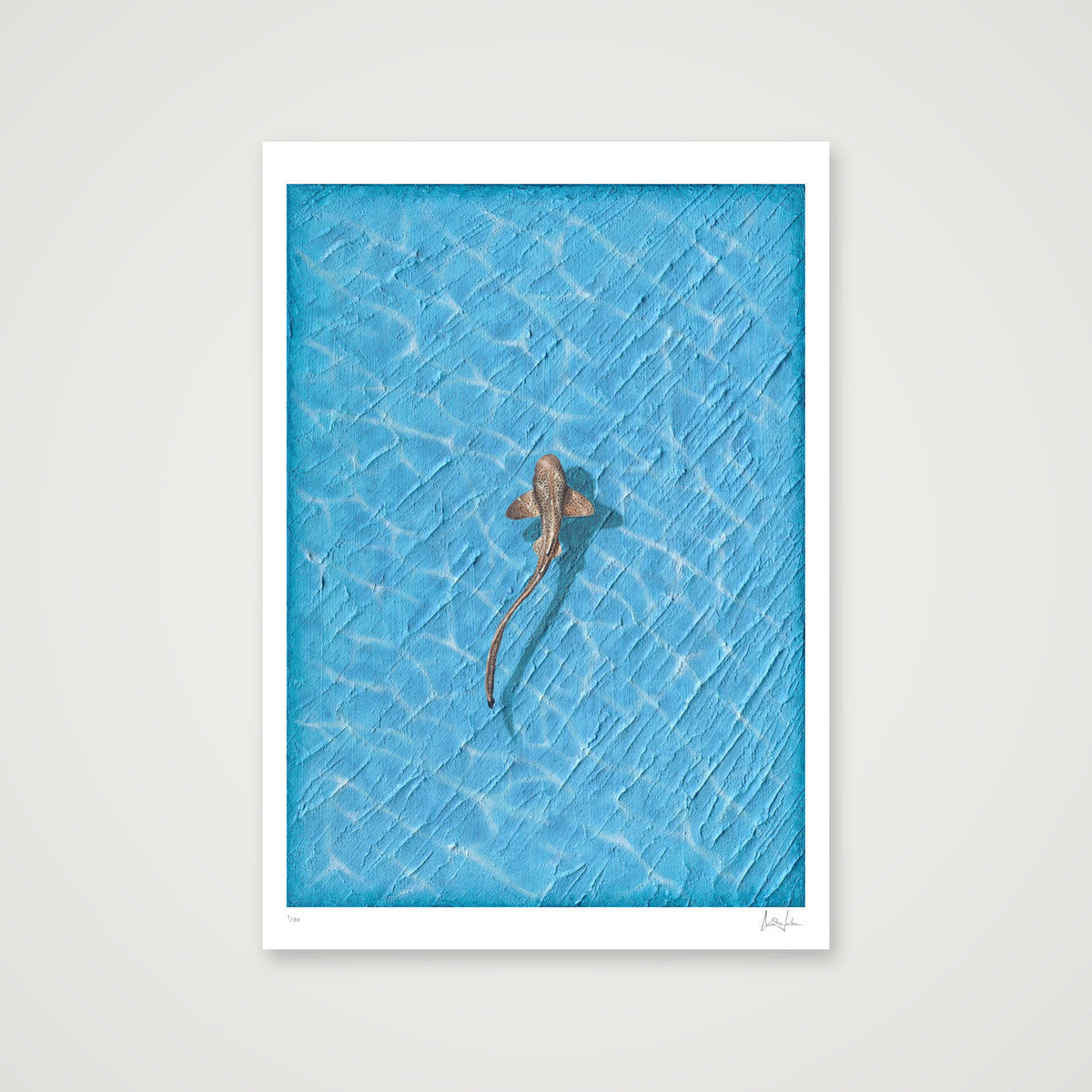 REEF - LIMITED FINE ART PRINT — 59×84cm, 23×33" Print only