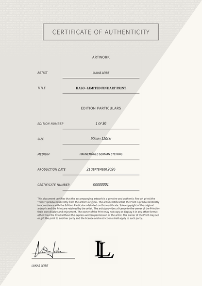 HALO - LIMITED FINE ART PRINT — Certificate of Authenticity