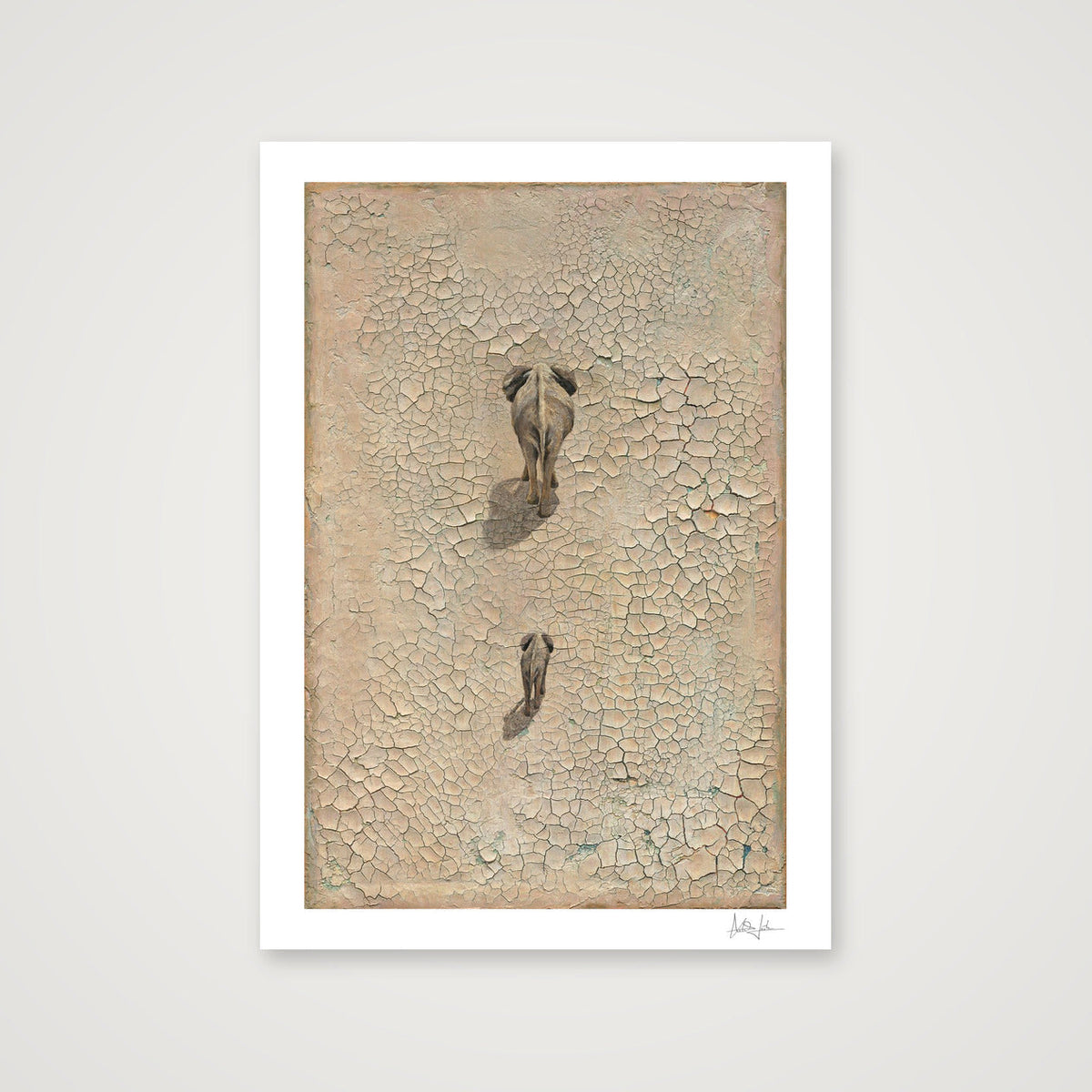 LIFE ON EARTH | Studio Edition — A3 (30×42cm, 12×17") Print only