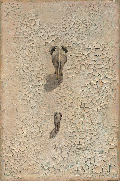 LIFE ON EARTH | Studio Edition