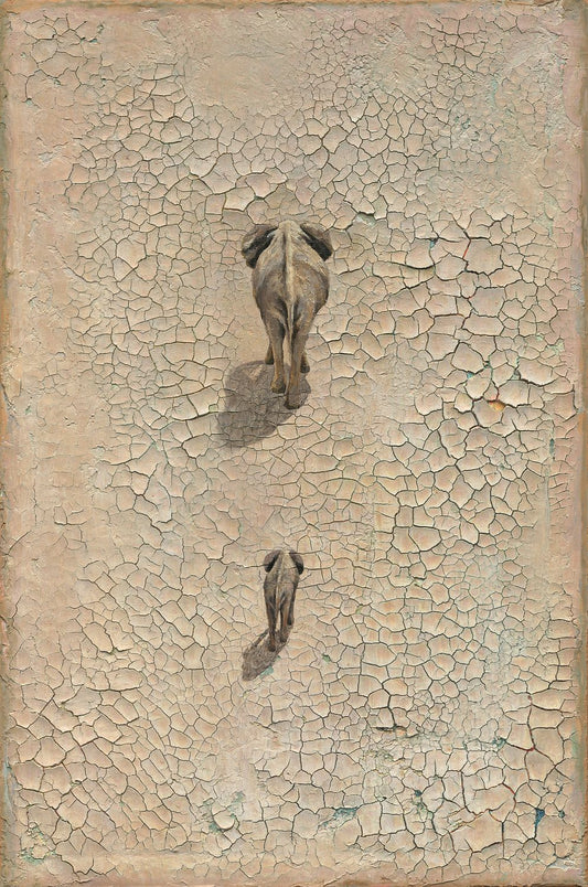 LIFE ON EARTH - Studio Edition