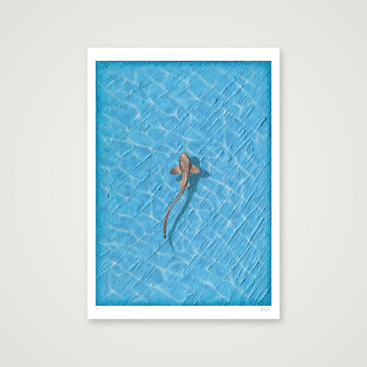 REEF - LIMITED FINE ART PRINT — A0 (84×119cm, 33×47") Print only