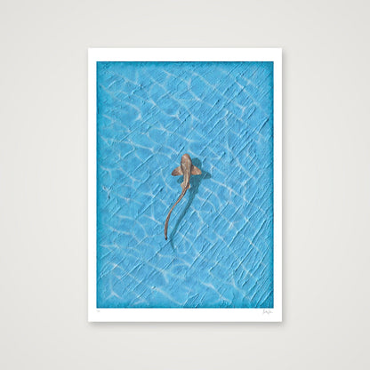 REEF - LIMITED FINE ART PRINT — A0 (84×119cm, 33×47") Print only