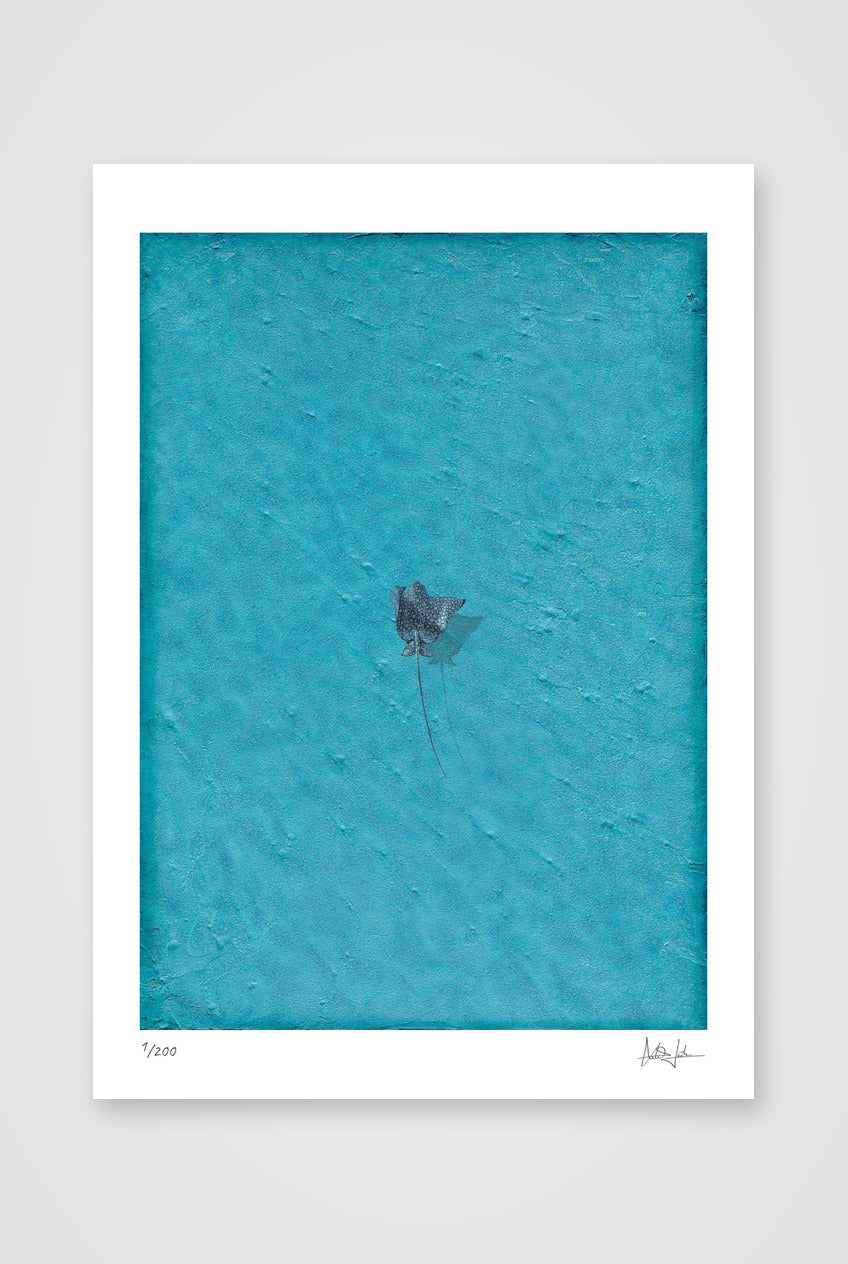 Azure — A3 (30×42cm, 12×17") Print only