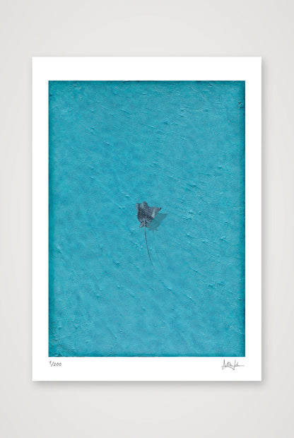 Azure — A3 (30×42cm, 12×17") Print only