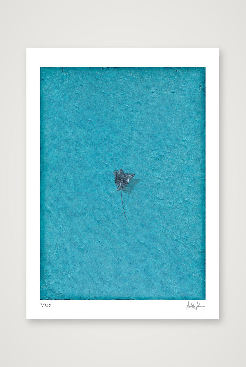 Azure — 42×59cm, 17×23" Print only