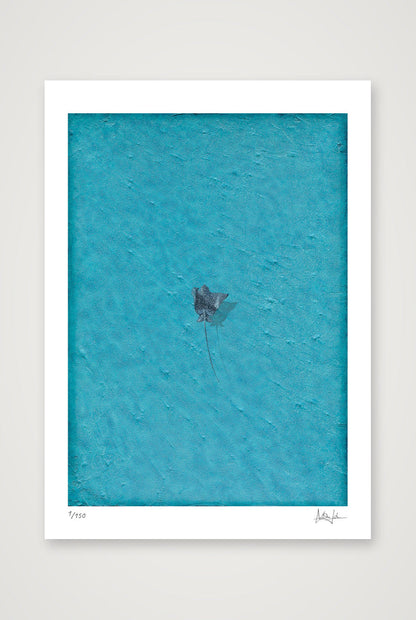 Azure — 42×59cm, 17×23" Print only