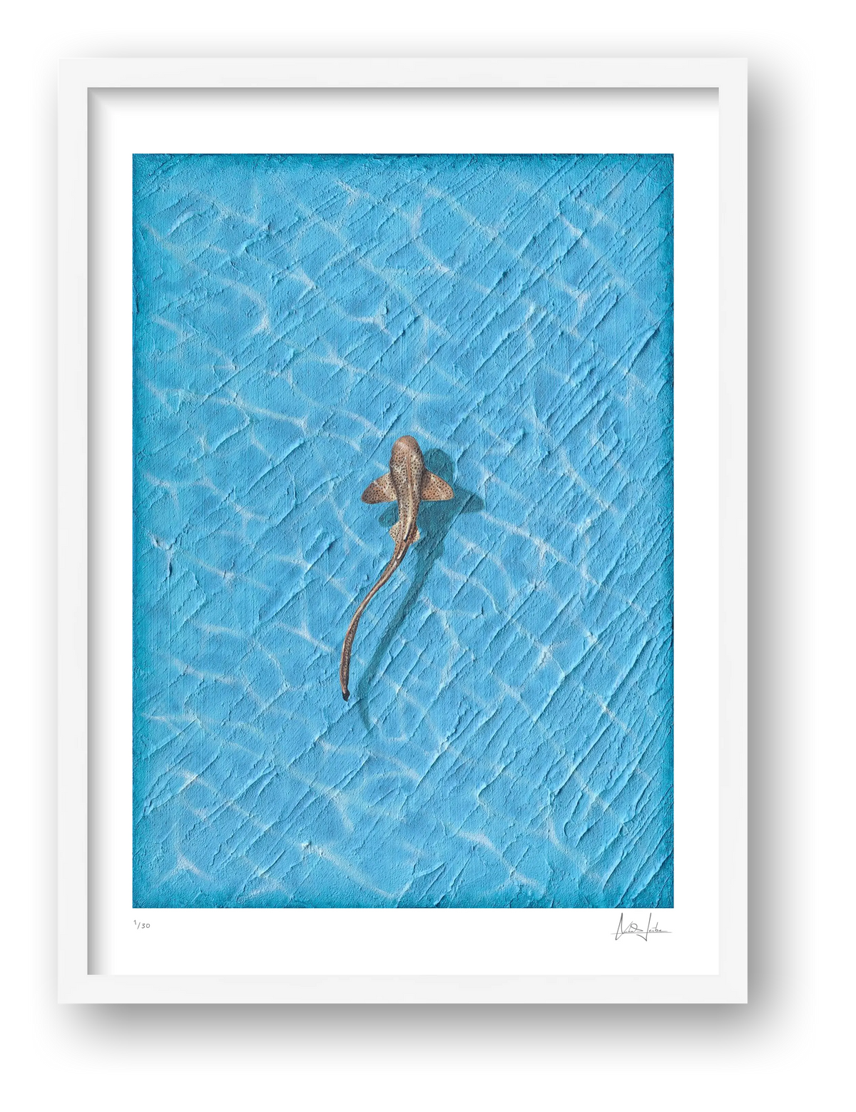 REEF - LIMITED FINE ART PRINT — framed