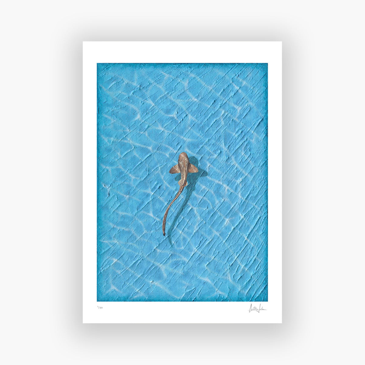 REEF - LIMITED FINE ART PRINT