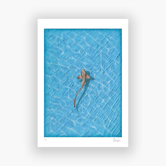 REEF - LIMITED FINE ART PRINT
