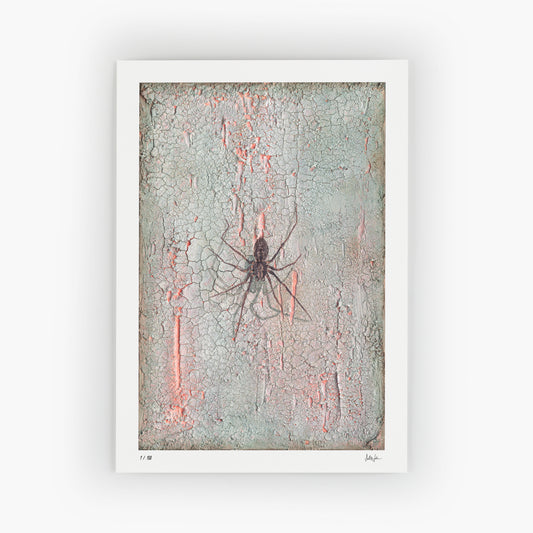 Phobia