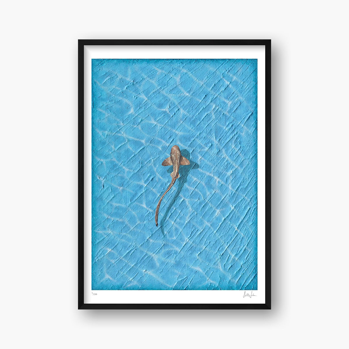 REEF - LIMITED FINE ART PRINT
