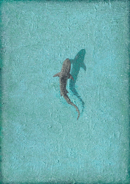 LAGOON | Studio Edition