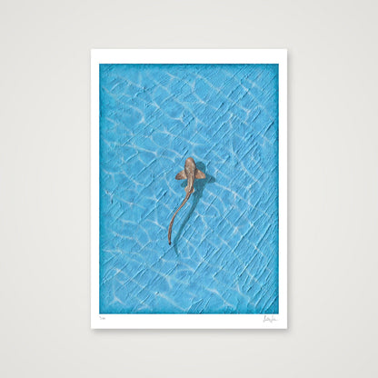 REEF - LIMITED FINE ART PRINT — 59×84cm, 23×33" Print only