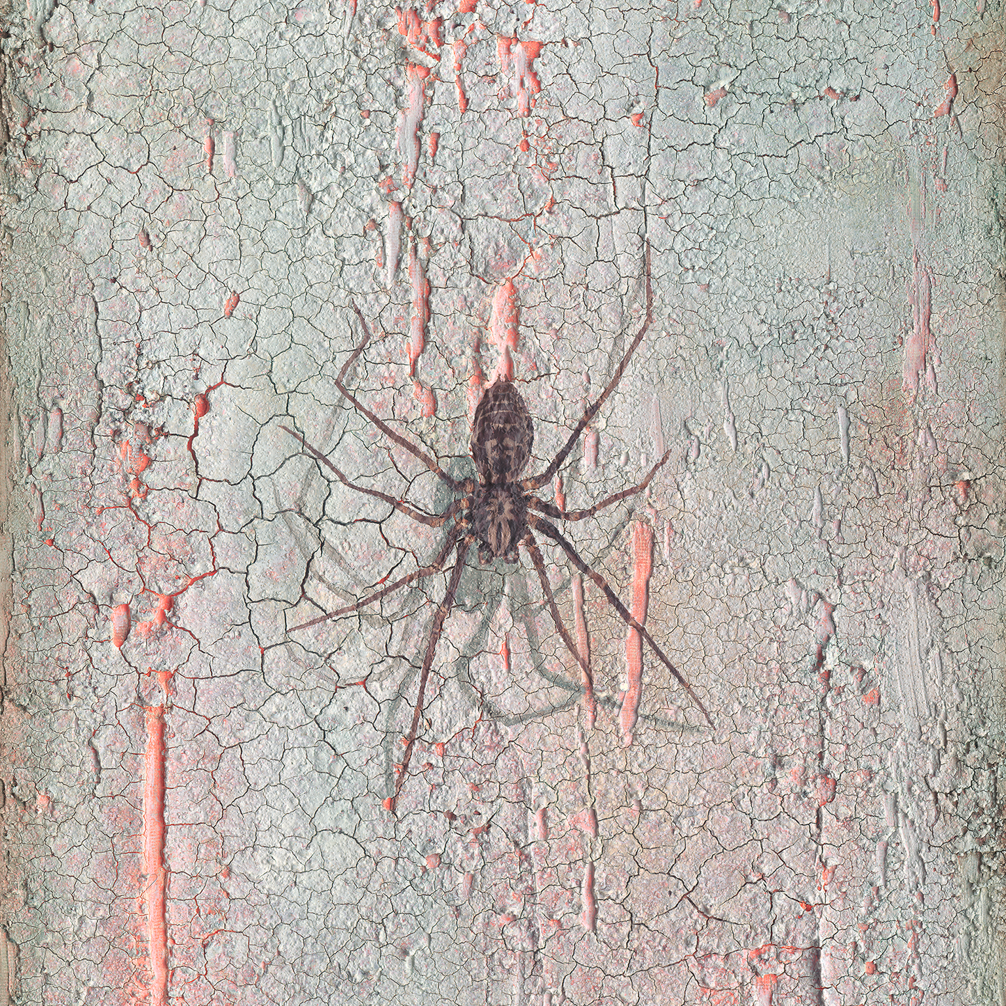 PHOBIA