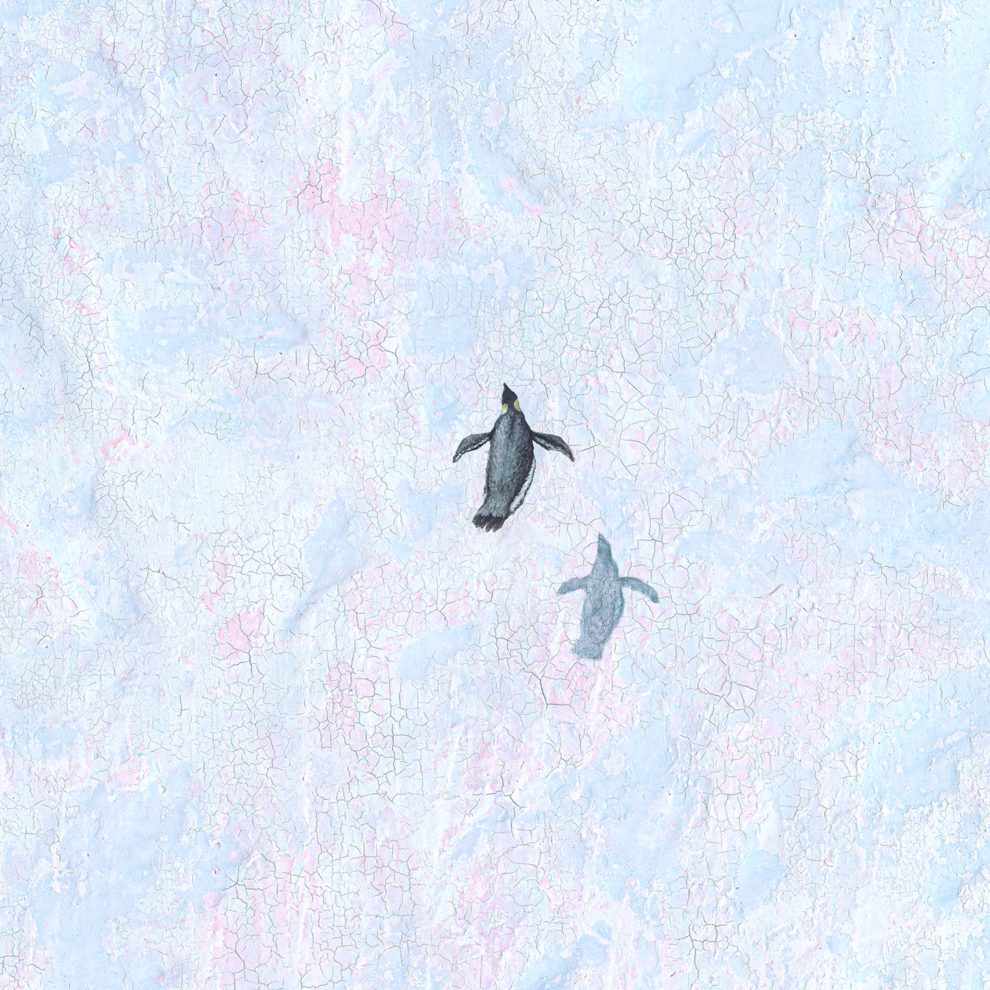 WHEN DREAMS LEARN TO FLY