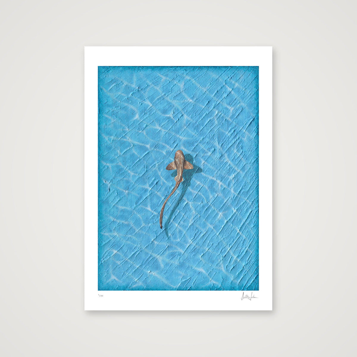 REEF - LIMITED FINE ART PRINT — 42×59cm, 17×23" Print only