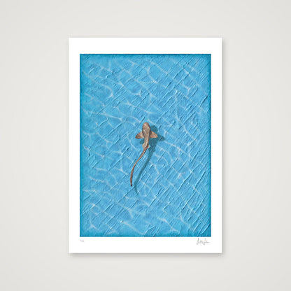 REEF - LIMITED FINE ART PRINT — 42×59cm, 17×23" Print only