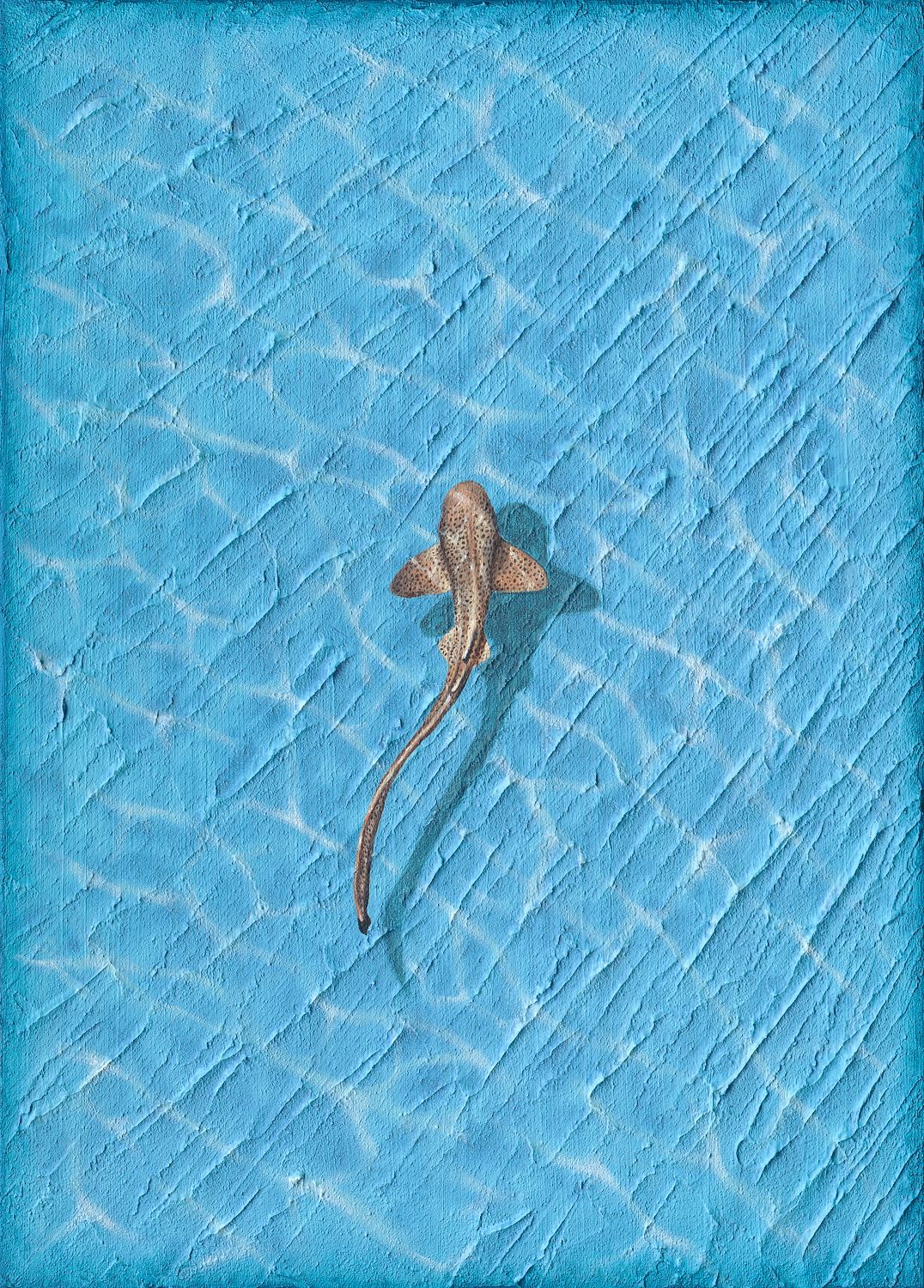 REEF - LIMITED FINE ART PRINT