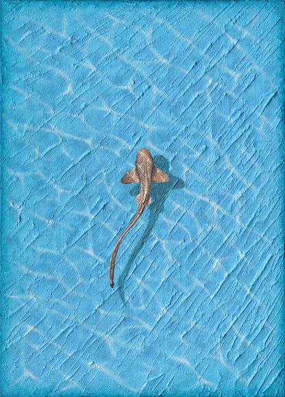 REEF - LIMITED FINE ART PRINT