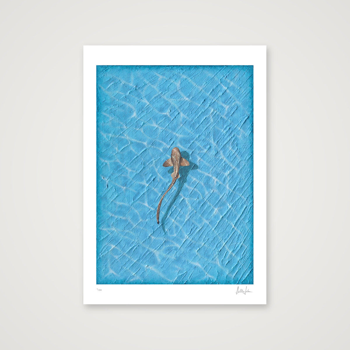 REEF - LIMITED FINE ART PRINT — A3 (30×42cm, 12×17") Print only